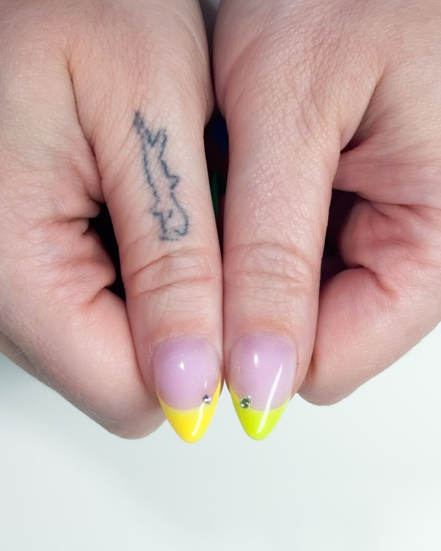 🌈 pride collection: frenchies